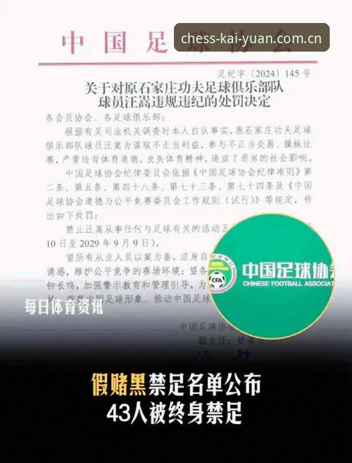 足协第三批禁足名单深度解读教程：在开元棋盘体育平台追踪中国足球反腐成果